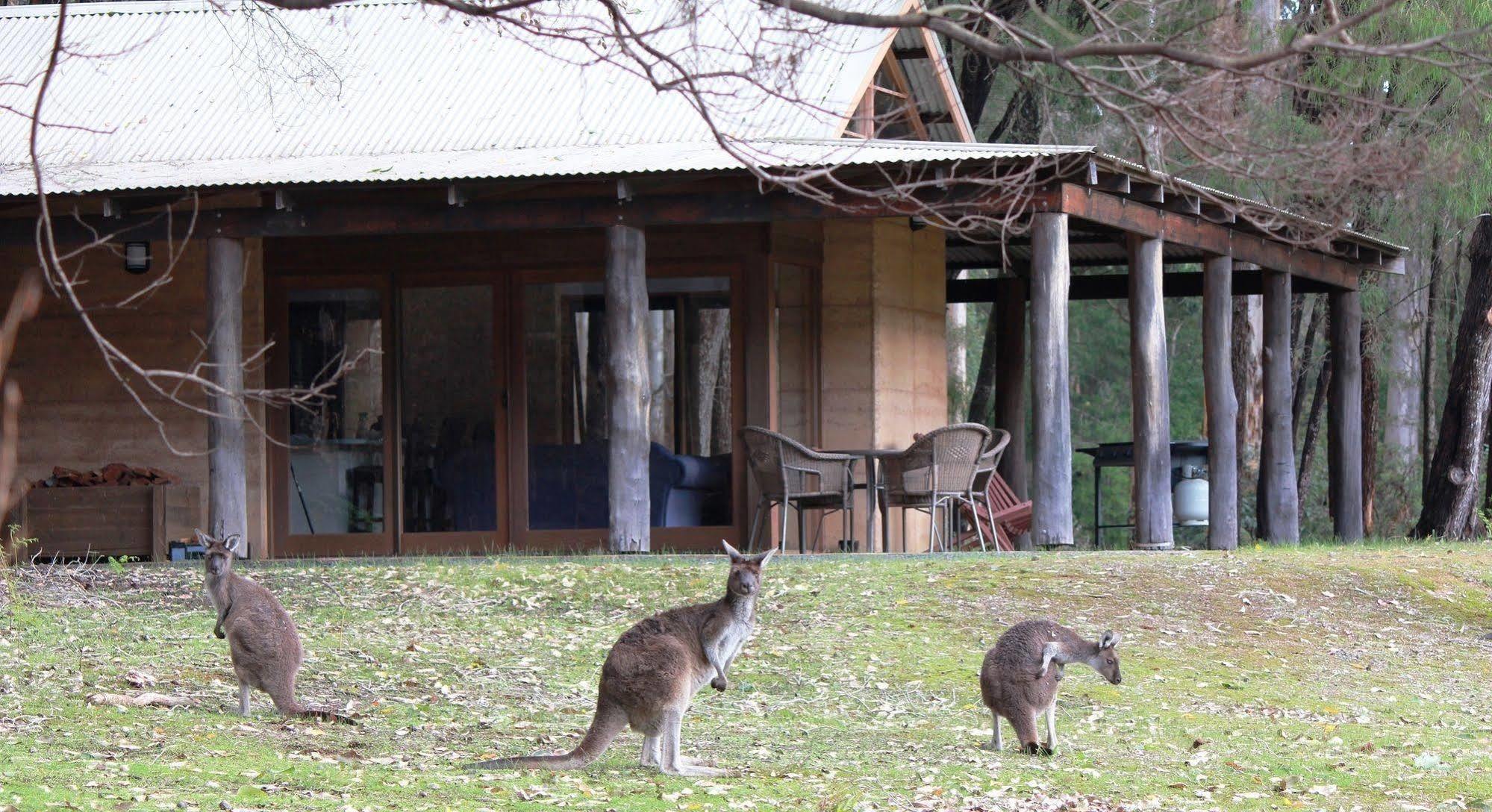 Marima Cottages Pemberton Exterior foto